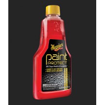 Paint Protect